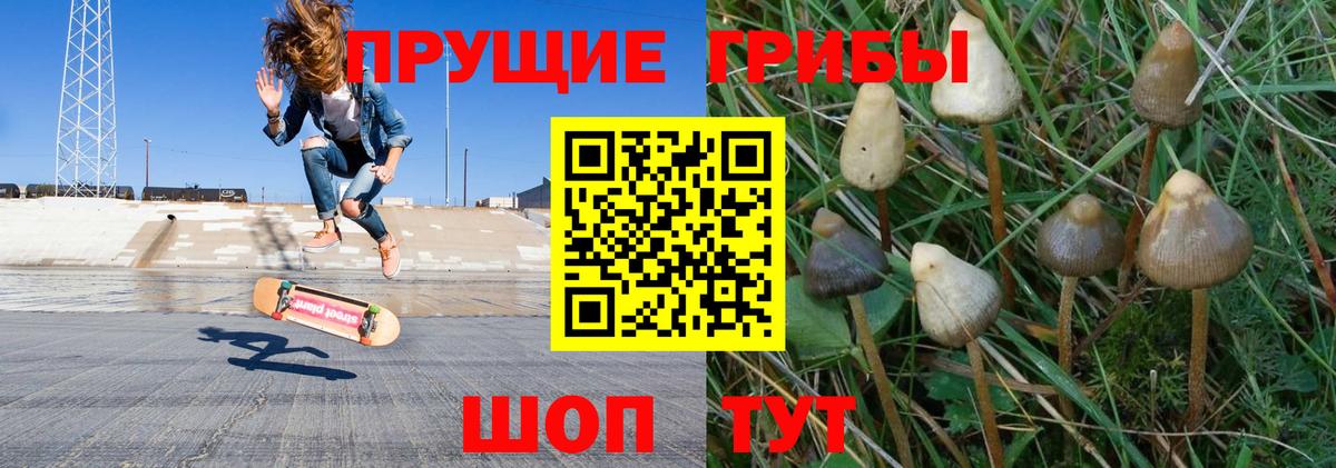 Стерлитамак  Галлюциногенные грибы прущие грибы  Галлюциногенные грибы мухоморы  Вход с VPN 
